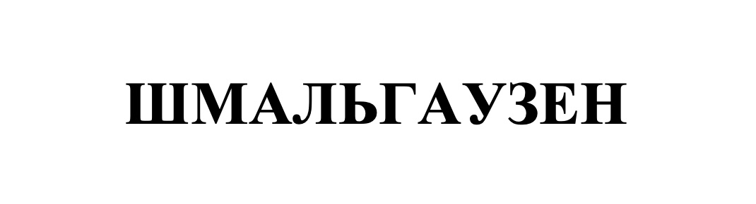 шмальгаузен