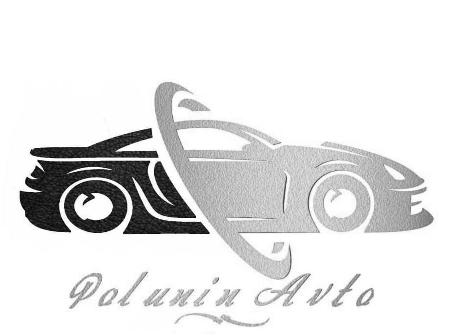 polunin avto