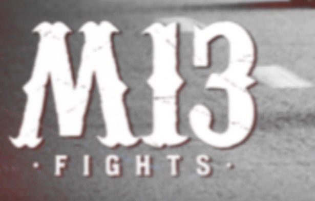 міз fights
