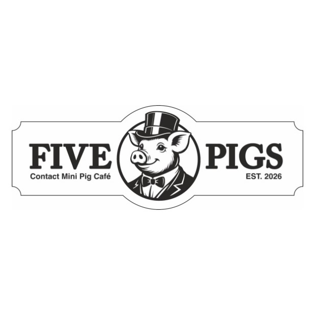 contact mini pig cafe