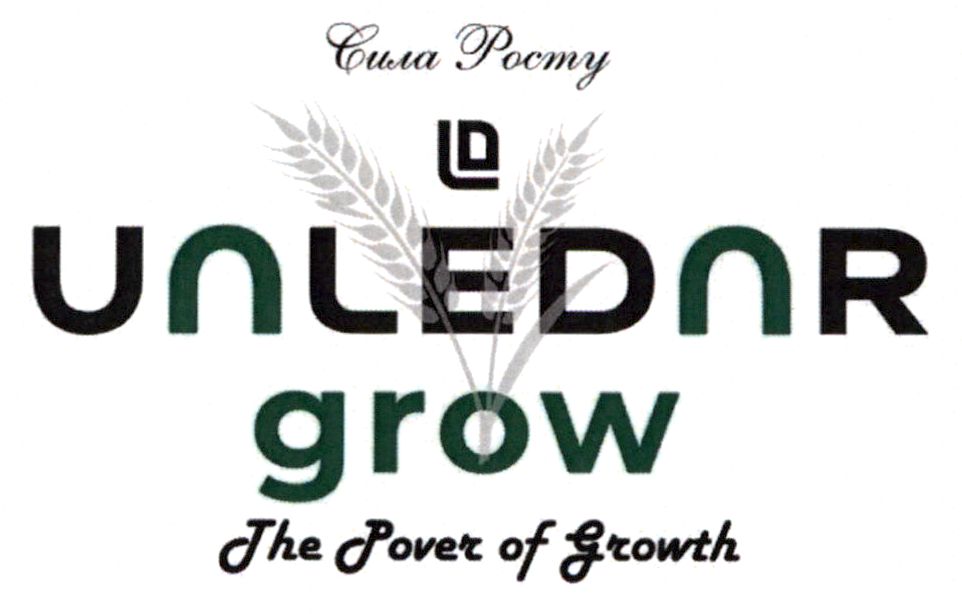 the power of growth