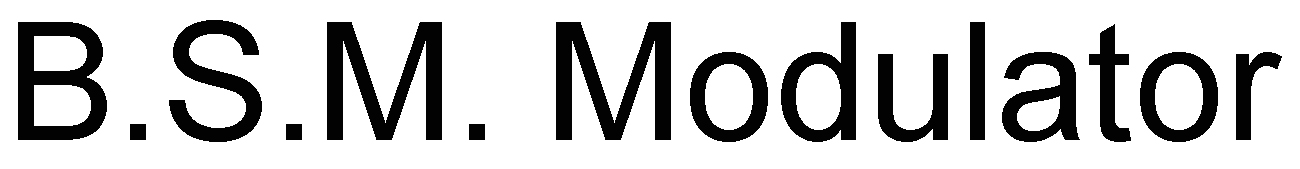 b.s.m. modulator