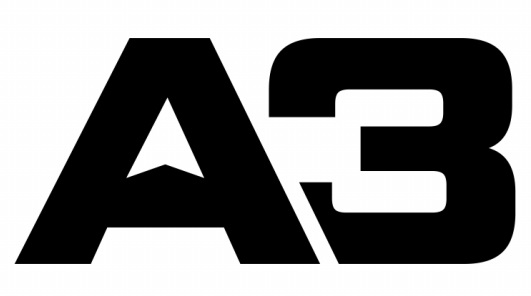 a3