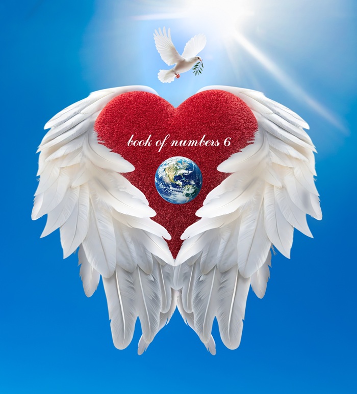 book of numbers 6