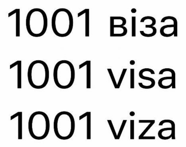 1001 viza