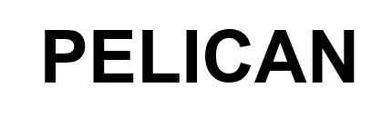 pelican