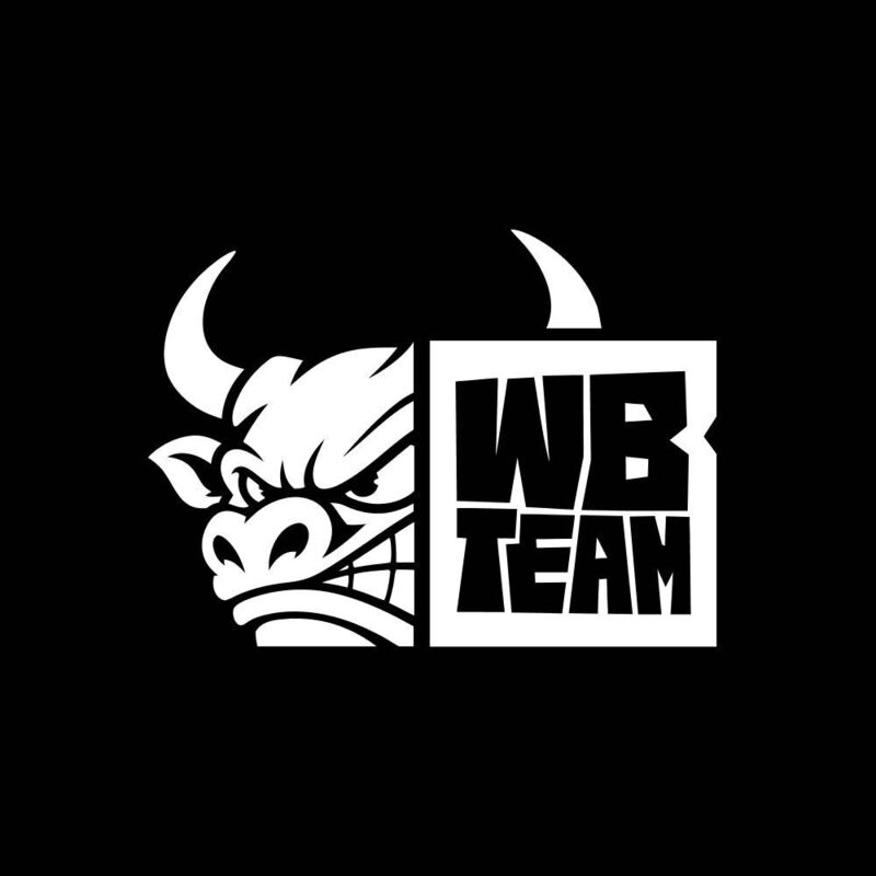 wb team