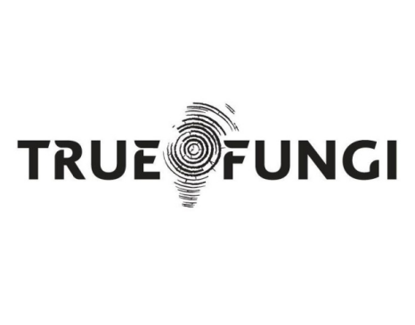 true fungi