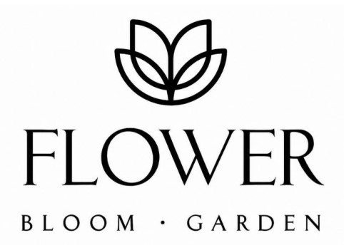 flower bloom garden