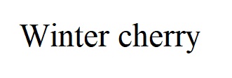 winter cherry