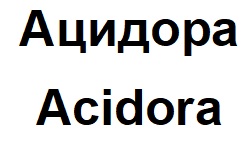 Фігуративна марка № m202614242