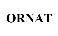 Фігуративна марка № m202614772