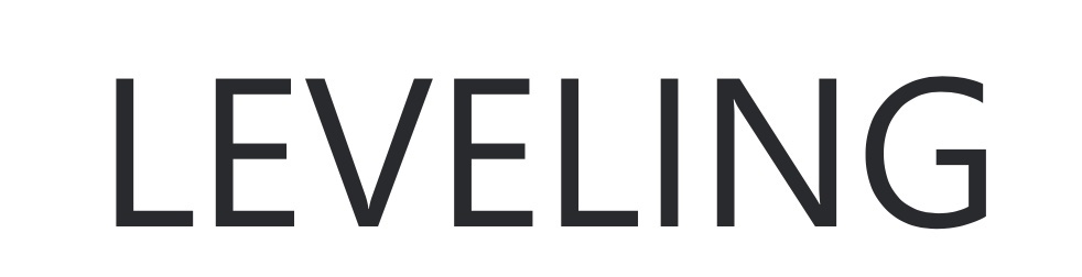 Лого ТМ leveling
