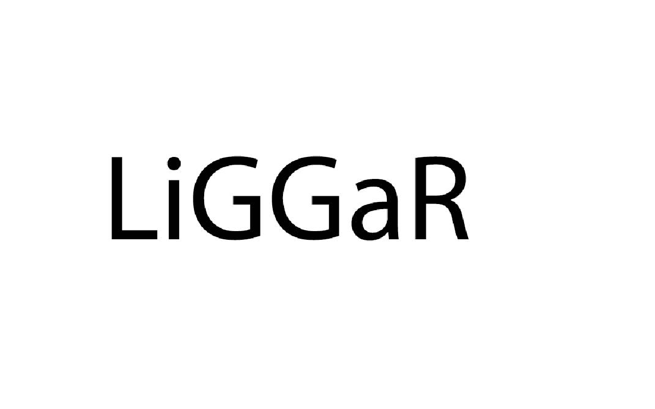 Зображення марки «liggar»