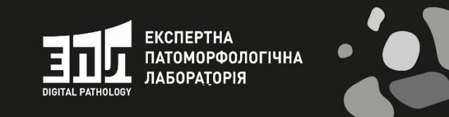 Фігуративна марка № m202616234