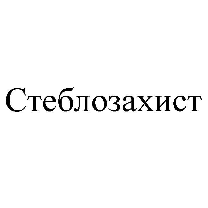 Фігуративна марка № m202616593