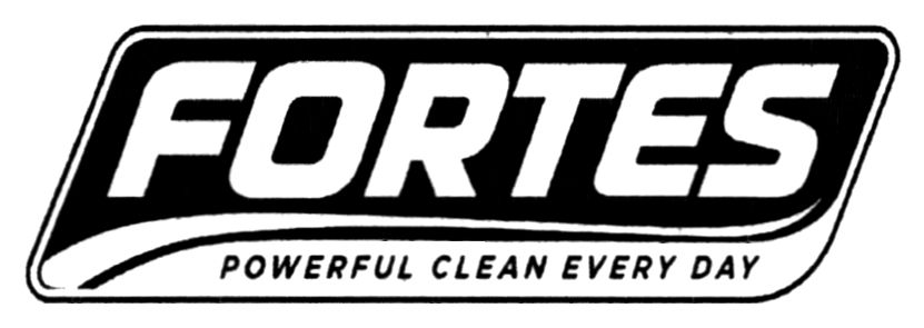 Зображення марки «powerful clean every day · fortes»