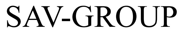 Зображення марки «sav group»