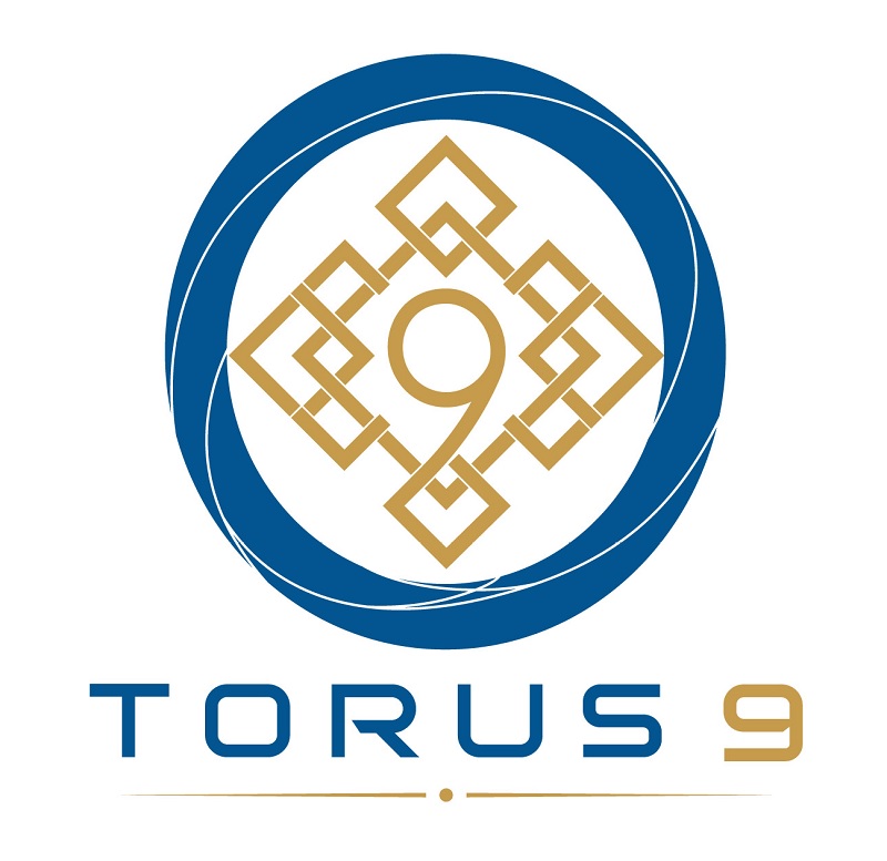 Зображення марки «torus 9»