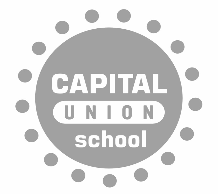 Зображення марки «capital union school»
