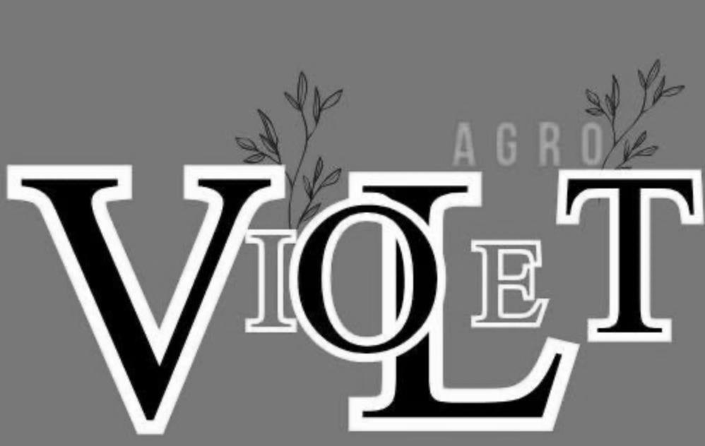 Зображення марки «le · vio · agro violet»