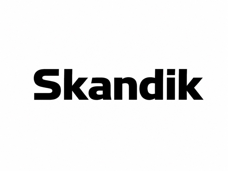 Зображення марки «skandik»