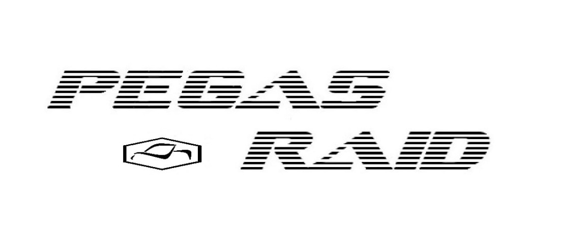 Зображення марки «pegas raid»