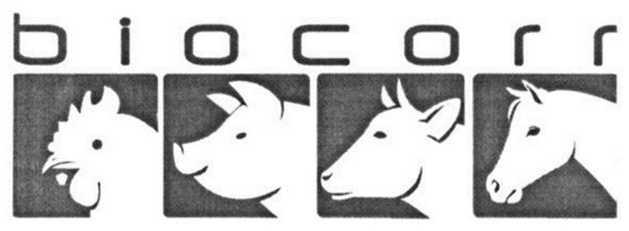 Зображення марки «blocorr»