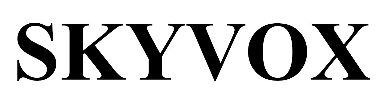Зображення марки «skyvox»