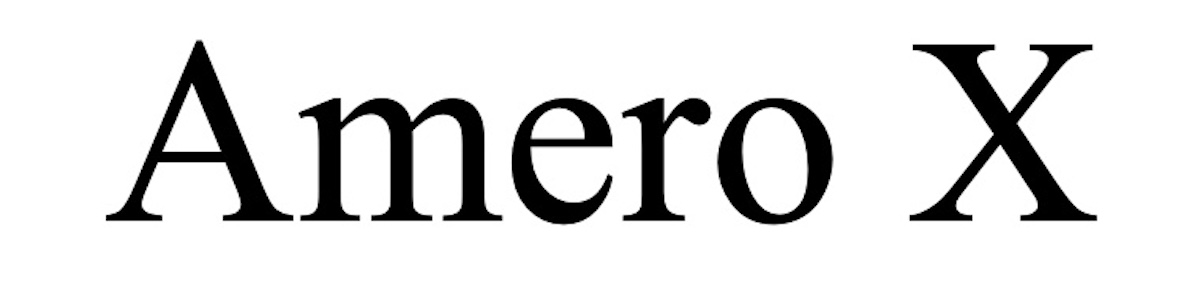 Зображення марки «amero x»