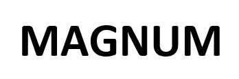 Зображення марки «magnum»