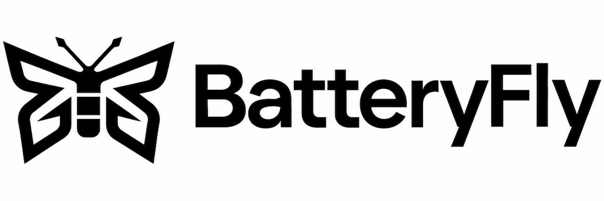 Зображення марки «battery fly»
